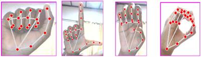 A machine learning-driven web application for sign language learning
